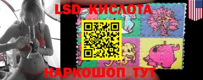 гашик Краснодар