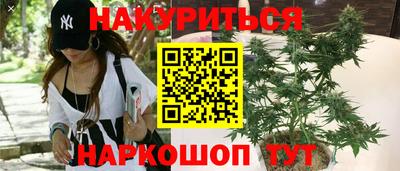 гашик Краснодар
