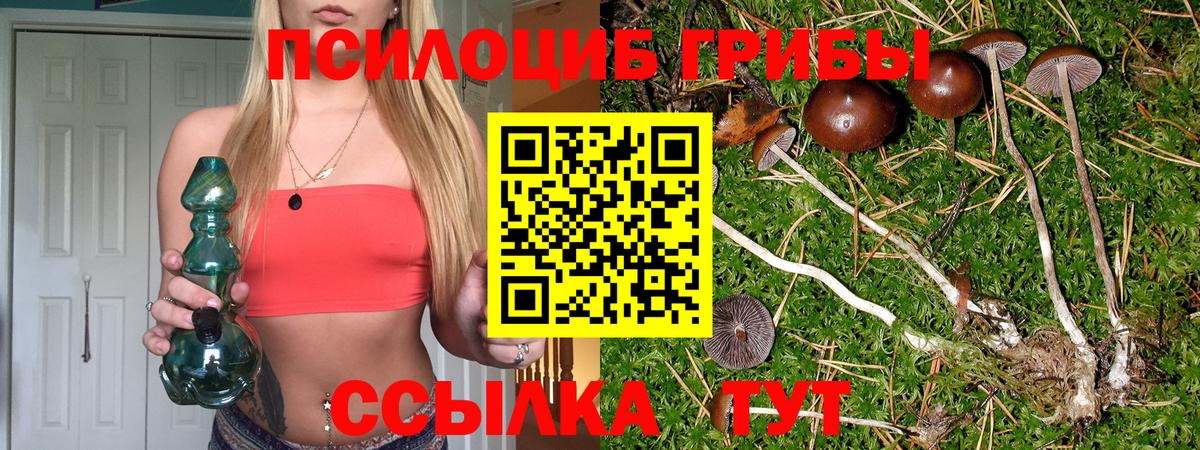 Псилоцибиновые грибы прущие грибы Кубинка