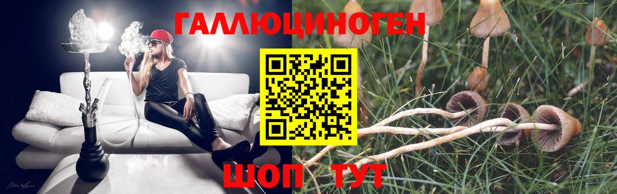 Кубинка  Галлюциногенные грибы мицелий  Вход с VPN 